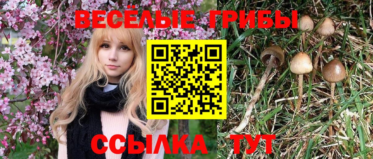 Псилоцибиновые грибы GOLDEN TEACHER  Вход с VPN  сколько стоит  Златоуст 