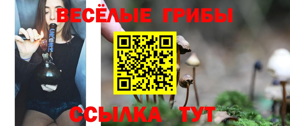 Галлюциногенные грибы мухоморы Златоуст